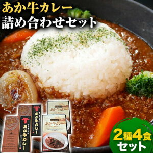 【ふるさと納税】あか牛 カレー 詰め合わせ セット 2種 4食 セット 道の駅竜北《60日以内に出荷予定(土日祝除く)》 熊本県 氷川町 あかうし カレー ビーフカレー 熊本和牛 牛 送料無料 レトルト