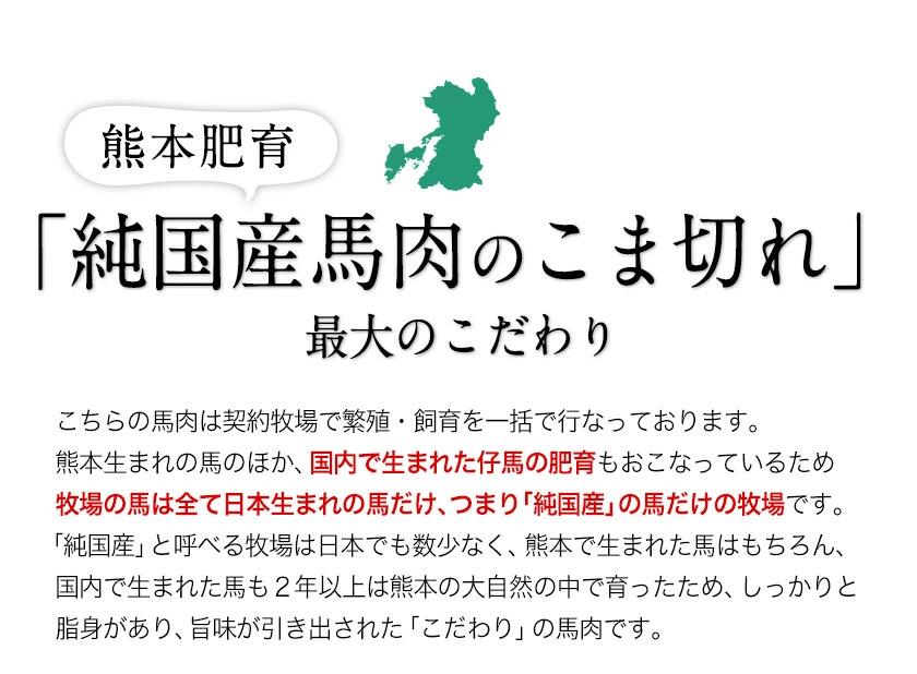 熊本県氷川町の画像3