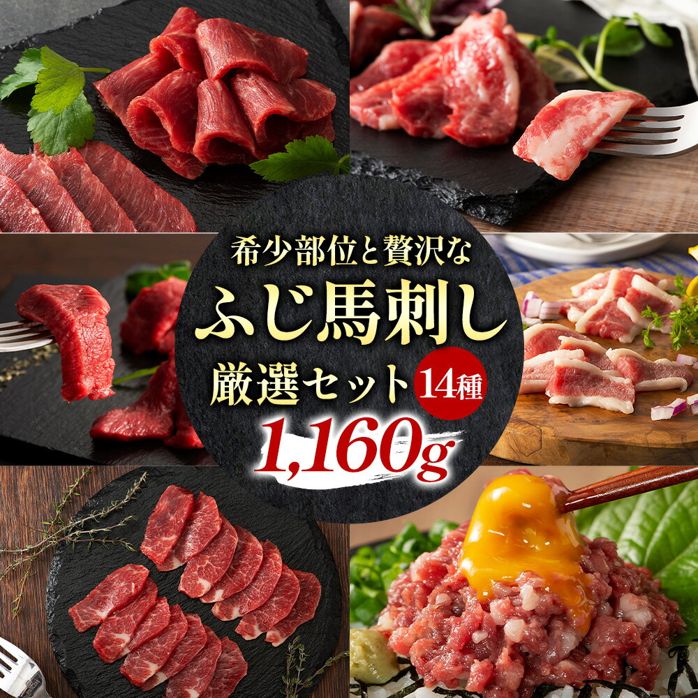馬肉 フジチクオリジナル 希少部位 と 贅沢な ふじ馬刺し 厳選 セット 道の駅竜北[30日以内に出荷予定(土日祝除く)] 熊本県 氷川町 肉 馬肉 メン 大トロ 中トロ ヒレ シャトーブリアン ロース ランプ 上赤身 ふじ馬刺し セット 食べ比べ