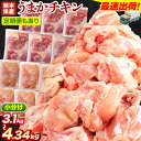 【ふるさと納税】最速出荷 大容量 鶏肉 大容量 肉 ク