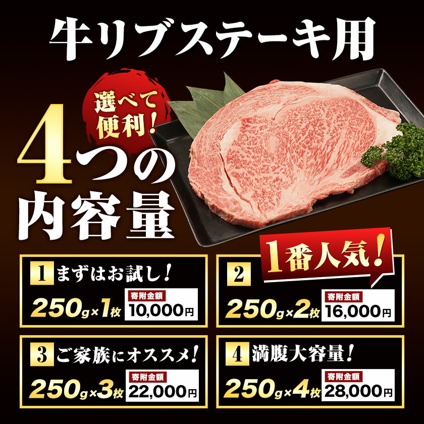 熊本県氷川町の画像3