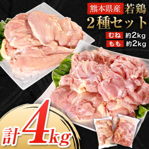 【ふるさと納税】大容量 鶏肉 発送時期が選べる 熊本県産 若鶏むね肉 約2kg/もも肉 約2kg 各1袋 たっぷり大満足！計4kg！《30日以内に出荷予定(土日祝除く)》モモ肉 モモ 若鶏モモ 鶏モモ ムネ 鶏ムネ ムネ肉 若鶏ムネ