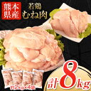 【ふるさと納税】大容量 鶏肉 発送