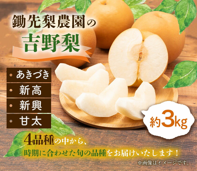 【ふるさと納税】秋 旬 梨 フルーツ 鋤先梨農園の梨 約3kg あきづき 新高 新興 甘太 旬 熊本県氷川町産 鋤先梨農園 梨 なし 旬の梨 フルーツ《9月上旬-10月中旬頃出荷予定》