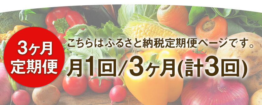 【ふるさと納税】3ヶ月定期便 旬の新鮮野菜・果物詰合せセット (計3回お届け)たっぷり8-12品目 熊本県氷川町産 道の駅竜北《お申込み月の翌月から出荷開始》