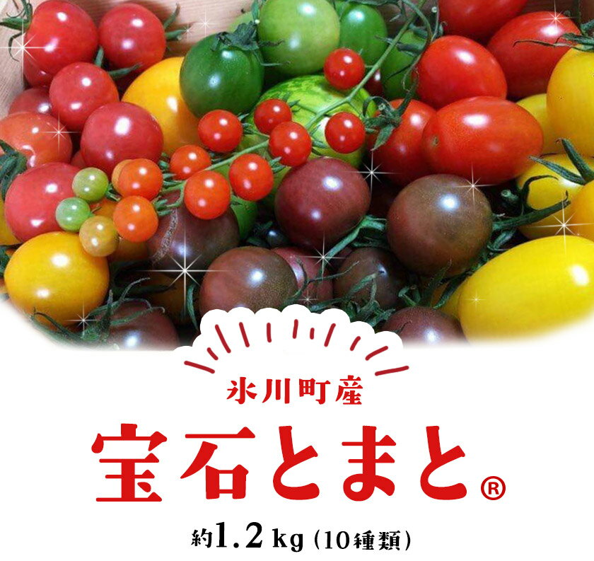 【ふるさと納税】「ミヤザキファーム」 宝石とまと1.2kg 熊本県氷川町産《2月上旬-6月末頃出荷》 小鈴 アイコ イエローアイコ オレンジ千果 みどりちゃん セレブスイート グリーンゼブラ 桃太郎ゴールド トスカーナバイオレット マイクロトマト