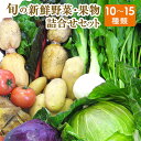 22位! 口コミ数「0件」評価「0」旬の新鮮野菜・果物詰合せセット たっぷり10-15品目 熊本県氷川町産 道の駅竜北《30日以内に出荷予定(土日祝除く)》