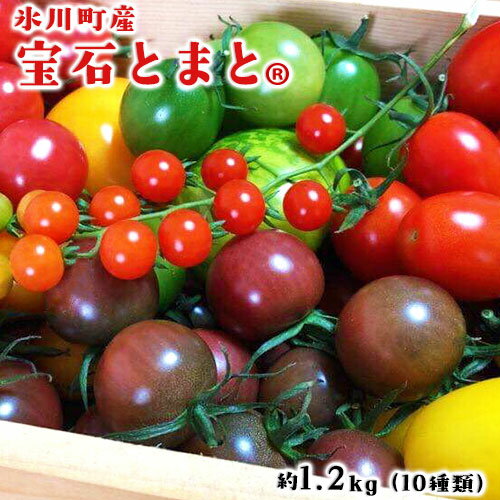 12位! 口コミ数「2件」評価「3」「ミヤザキファーム」 宝石とまと1.2kg 熊本県氷川町産《2月上旬-6月末頃出荷》 小鈴 アイコ イエローアイコ オレンジ千果 みどりちゃ･･･ 