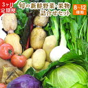 【ふるさと納税】3ヶ月定期便 旬の新鮮野菜・果物詰合せセット