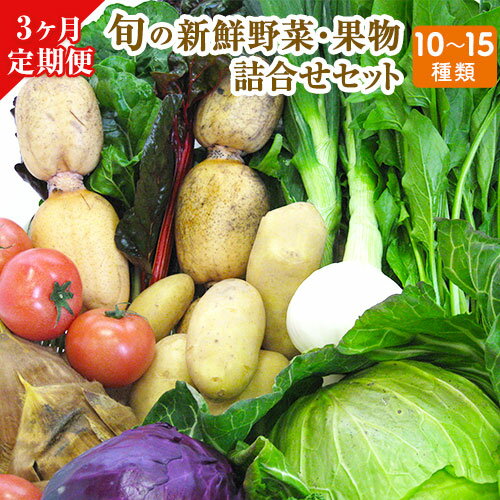 3位! 口コミ数「0件」評価「0」3ヶ月定期便 旬の新鮮野菜・果物詰合せセット (計3回お届け)たっぷり10-15品目 熊本県氷川町産 道の駅竜北《お申込み月の翌月から出荷開･･･ 