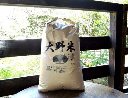 大野米【玄米】30kg ヒノヒカリ 新米 熊本県産