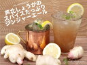 Ashikita Spices Ginger（アシキタ スパイス ジンジャー）