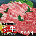 10位! 口コミ数「4件」評価「5」黒毛和牛 国産 熊本県産 牛肉 肉　あしきた牛焼肉詰合せ　熊本県産