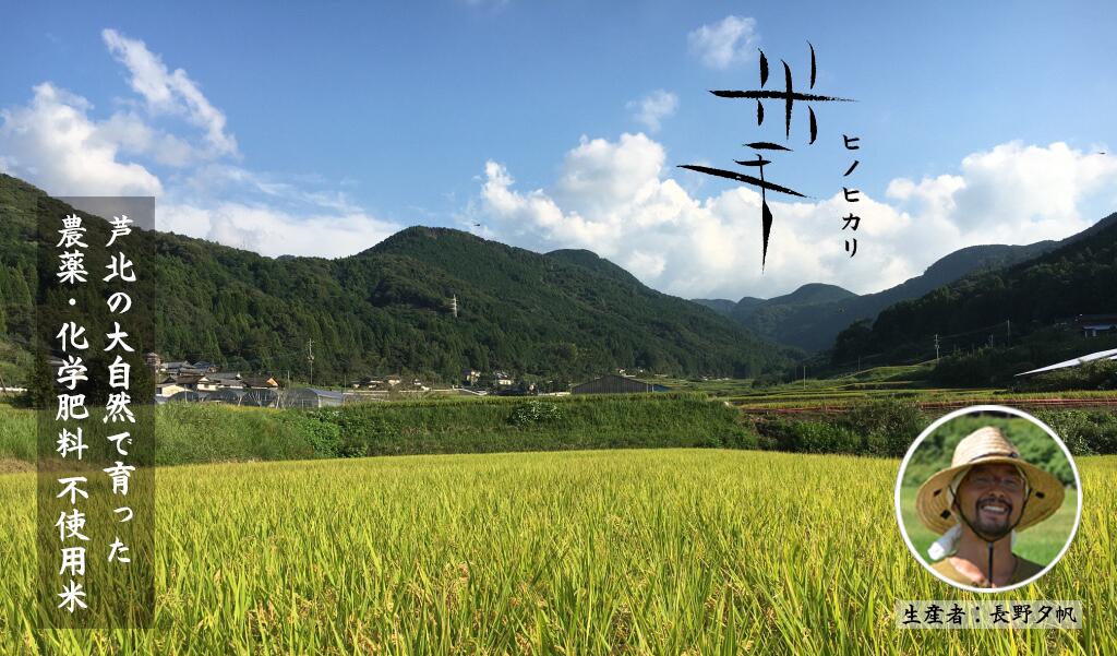 米手(こめて)ヒノヒカリ玄米5kg[農薬・化学肥料不使用米]新米 熊本県産