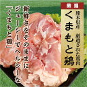 熊本県芦北町の画像2