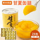 【ふるさと納税】甘夏缶詰24缶入り (12缶×2箱)《60日以内に出荷予定(土日祝除く)》熊本県 葦北郡 津奈木町 あしきた農業協同組合 JAあしきた 柑橘 甘...