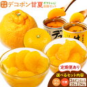 【ふるさと納税】デコポン・甘夏缶詰セット選べる内容量 定期便あり《60日以内に出荷予定(土日祝除く)》熊本県 葦北郡 津奈木町 あしきた農業協同組合 JAあしき...