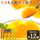 【ふるさと納税】くまもとの果実巡り 3種入り各4個入り 計12個入り《60日以内に出荷予定(土日祝除く)》熊本県 葦北郡 津奈木町 あしきた農業協同組合 JAあしきた 柑橘 デコポン 甘夏 みかん 柑橘 ゼリー 3種セットギフト 包装 送料無料