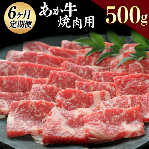 肥後のあか牛 焼肉用 500g 赤牛 あかうし《お申込み月の翌月から出荷開始》熊本県 葦北郡 津奈木町 津奈木食品 定期便 6ヶ月