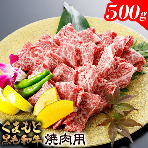 57位! 口コミ数「0件」評価「0」くまもと黒毛和牛焼肉用 500g《30日以内に出荷予定(土日祝除く)》熊本県 葦北郡 津奈木町 津奈木食品 送料無料