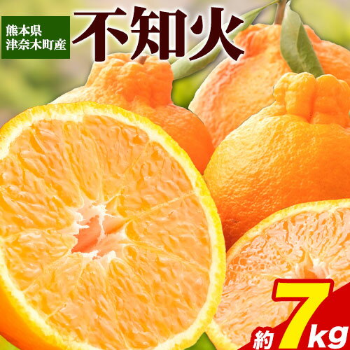 【ふるさと納税】不知火 約7kg 訳あり M-2Lサイズ 《4月上旬-5月末頃出荷》 みかん デコポン と同品種 サイズ混合 SDGs 熊本県 葦北郡 津奈木町 つなぎ百貨堂 フルーツ 柑橘のサムネイル