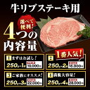 熊本県津奈木町の画像3