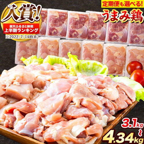 【ふるさと納税】うまみ鶏 鶏肉 上半期ランキング入賞 選べる もも肉 or むね肉 大容量 最大 4kg 以上 定期便 も選べる 便利な 小分けパック 鶏もも肉 鶏むね肉 鶏 もも むね モモ ムネ 若どり 個包装 熊本県産《選べる出荷時期》