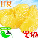 【ふるさと納税】みかん好き必見 選べる 甘夏 熊本県産(津奈木町産含む) 甘夏 約 4kg または 10kg 柑橘 大玉 ミカン 《7-14日以内に出荷予定(土...