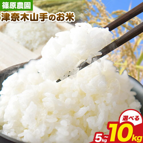 ڤդ뤵Ǽǡۡͽ7ǯ ڻΤ ٤ 5kg 10kg ĸ10缡вͽ(˽)շܸ ...