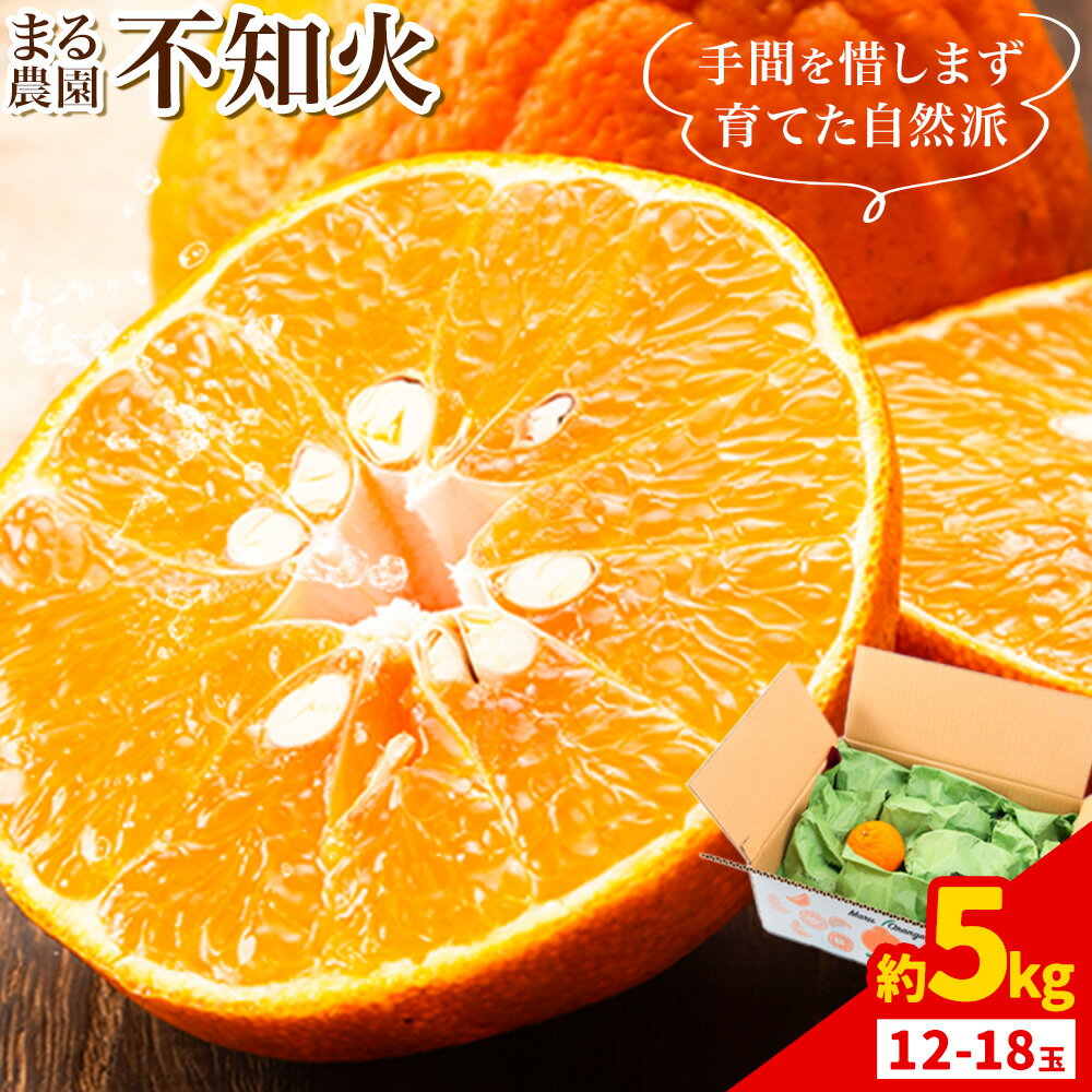 先行予約 不知火 約5kg 12-18玉入り まる農園[2025年11月中旬-2026年1月中旬頃出荷]熊本県 津奈木町 青果物 デコポン みかん しらぬい 果物 フルーツ