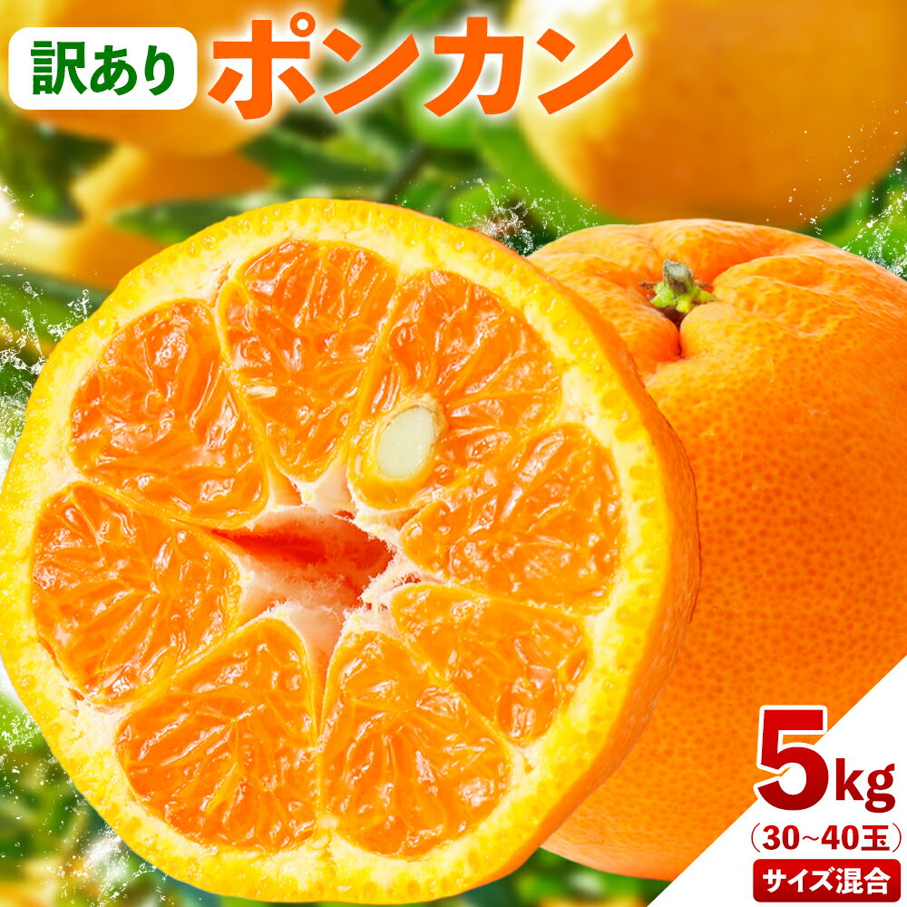 訳あり ポンカン 5kg 30~40玉 サイズ混合 [2月中旬-3月中旬出荷予定(土日祝除く)]熊本県 葦北郡 津奈木町 ポンカン みかん 柑橘 送料無料