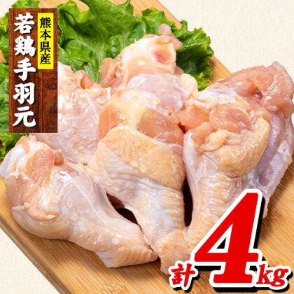 熊本県産 若鶏手羽元 約4kg 2kg×2P 《30日以内に出荷予定(土日祝除く)》 熊本県 葦北郡 津奈木町