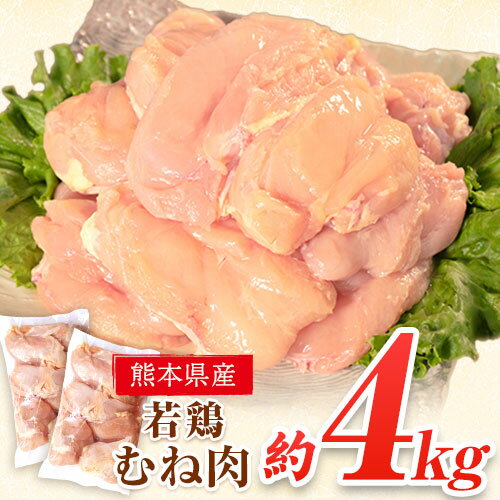 【ふるさと納税】 鶏肉 若鶏 むね肉 約2kg×2袋(1袋あ