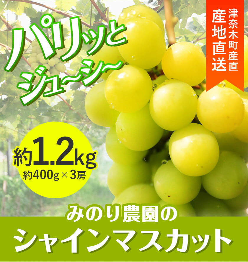 【ふるさと納税】シャインマスカット 約1.2kg 3房《8月中旬-9月中旬頃より順次出荷》熊本県 葦北郡 津奈木町 みのり農園 送料無料