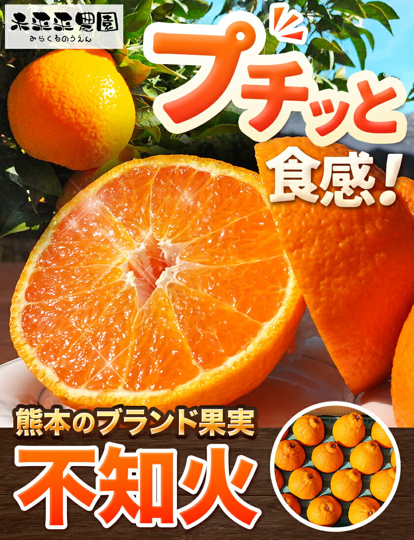 【ふるさと納税】先行予約 不知火 熊本のブランド果実 選べる 不知火 贈答用 約 3kg (10玉) または 約 5kg (16玉) 未来来農園 選べる内容量 《2026年4月上旬-4月下旬頃出荷》熊本県 葦北郡 津奈木町 みかん デコポン でこぽん フルーツ 柑橘 しらぬい