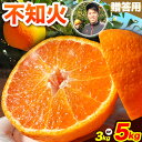 不知火 熊本のブランド果実 選べる 不知火 贈答用 約 3kg (10玉) または 約 5kg (16玉) 未来来農園 選べる内容量 《2月下旬-4月末頃出荷》熊本県 葦北郡 津奈木町 みかん デコポン でこぽん フルーツ 柑橘 しらぬい