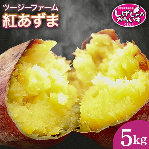 【ふるさと納税】 熊本県産 しげしゃんからいも 紅あずま 5kg ツージーファーム 《10月下旬-11月末頃より順次出荷》熊本県 葦北郡 津奈木町 さつまいも からいも 焼き芋 送料無料