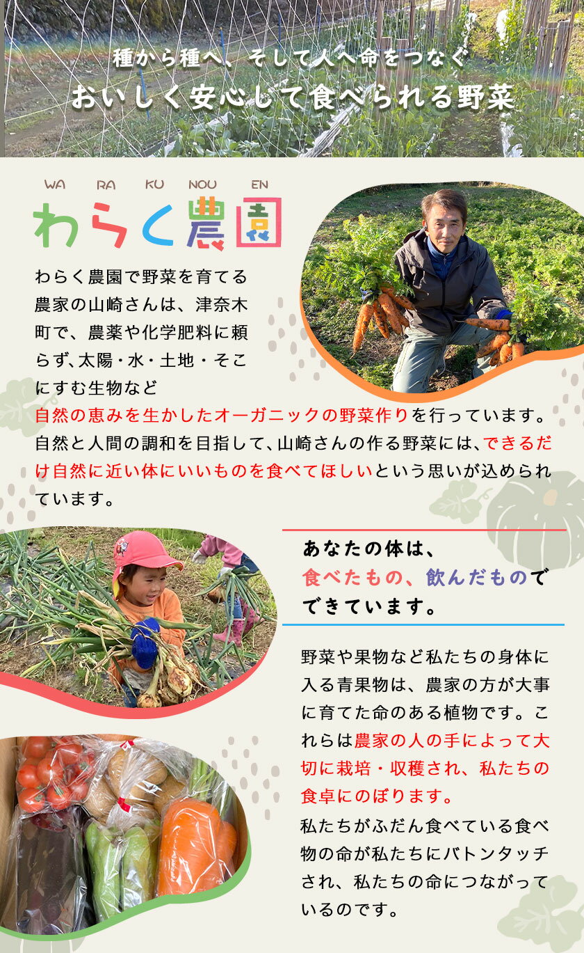 カゴメ トマトピューレー 200g　トマトソース　ミートソース　　ロールキャベツ