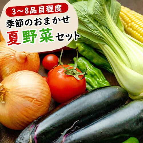 【ふるさと納税】季節のおまかせ『夏』野菜セット 3〜8品目程度 わらく農園《出荷時期をお選びください》熊本県 葦北郡 津奈木町 野菜 野菜セット