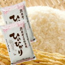 【ふるさと納税】熊本県人吉球磨産『ヒノヒカリ』10kg(5k...