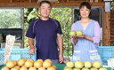 【ふるさと納税】本村果樹園 にしき梨(5kg) 【梨・ナシ・...