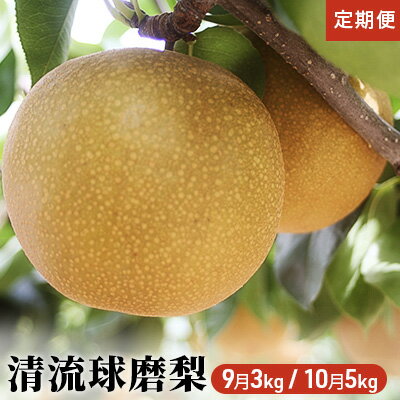 【ふるさと納税】定期便【2022年発送】清流錦梨(9月3kg・10月5kg)【配送不可:離島】【定期便・梨・ナシ・果物・フルーツ・2回・2ヶ月連続・先行予約】お届け:2022年9月初旬~10月下旬