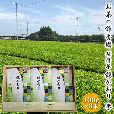 球磨茶【錦かおり：誉】玉緑茶　【お茶 茶葉 緑茶】