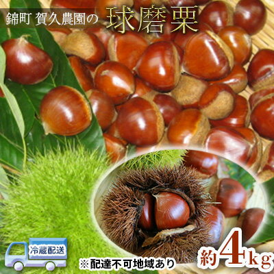 【ふるさと納税】栗 草生栽培で育てた賀久農園の球磨栗 約4kg 配送不可 離島　【果物類・くり・栗】　お届け：2023年9月中旬〜11月上旬のサムネイル