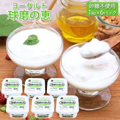 【ふるさと納税】球磨の恵ヨーグルト 1kg×6パック（砂糖不使用）　乳製品 ヨーグルトのサムネイル