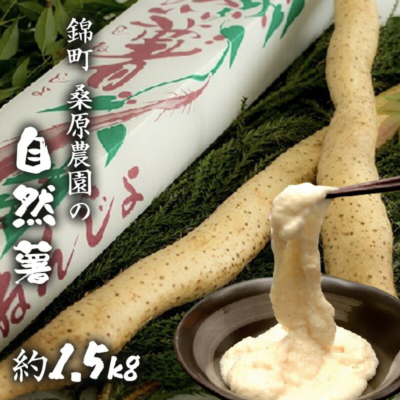 名称自然薯内容量自然薯 (1～2本、約1.5kg)産地国産（熊本県産）事業者桑原農園配送方法冷蔵配送お届け時期2023年11月上旬～2024年8月下旬備考※画像はイメージです。 ※離島にはお届けできません。 ※大きさにより重さ・本数が異なります。 ※天候等の事情により出荷時期が変更になる場合がございます。 ※お届け日の指定はできません。 ※お申込限度数に達した場合は、予告なく締切日前にお申込みを締切らせていただきます。 ※小物類は商品に含まれません。 ※上記のエリアからの申し込みは返礼品の手配が出来ないため、「キャンセル」または「寄附のみ」とさせていただきます。予めご了承ください。 ・ふるさと納税よくある質問はこちら ・寄附申込みのキャンセル、返礼品の変更・返品はできません。あらかじめご了承ください。【ふるさと納税】自然薯 約1.5kg 錦町産 桑原農園 配送不可：離島　【錦町】　お届け：2023年11月上旬～2024年8月下旬 【配送不可：離島にはお届けできませんのでご注意ください。】 自然薯には非常に多くの成分が含まれており、古来より漢方生薬の山薬とされていました。 胃腸の消化機能改善・コレステロール値低下・表皮の代謝活性化など、様々な効果があります。 寒暖の差が大きい人吉球磨盆地で育った自然薯は粘り気があり、風味豊か。山芋特有の辛みもほとんどありません。自然薯を作り始めて30年。最初の頃は失敗の連続。やっとの思いで自慢できるものを作ることが出来ました。当農園の自然薯を心待ちにしてくださる方々のために、自然薯を作り続けています。当農園の自然薯の粘り気はどこにも負けません。持ち上げてもなかなか落ちない。この粘り気がスタミナの秘密。人吉球磨の大自然で育った自然薯を是非ご賞味ください。 野菜 根菜 自然薯 寄附金の用途について ひみつ基地ミュージアム等の観光振興対策に関する事業 少子・子育て、福祉・介護・健康づくり対策に関する事業 教育・文化の支援対策に関する事業 産業の振興対策に関する事業 まちの基盤整備、防災・安全対策に関する事業 その他、目的達成のために町長が必要と認める事業 受領証明書及びワンストップ特例申請書のお届けについて 【受領証明書】 受領証明書は、ご入金確認後、注文内容確認画面の【注文者情報】に記載の住所にお送りいたします。 発送の時期は、入金確認後1～2週間程度を目途に、お礼の品とは別にお送りいたします。 【ワンストップ特例申請書について】 ワンストップ特例をご利用される場合、1月10日まで（必着）に申請書を下記に送付してください。 マイナンバーに関する添付書類に漏れのないようご注意ください。 【申請書送付先】 〒251-0054　神奈川県藤沢市朝日町10-7森谷産業旭ビル4階1号室 レッドホースコーポレーション株式会社 ふるさと納税サポートセンター　「錦町　ふるさと納税係」宛