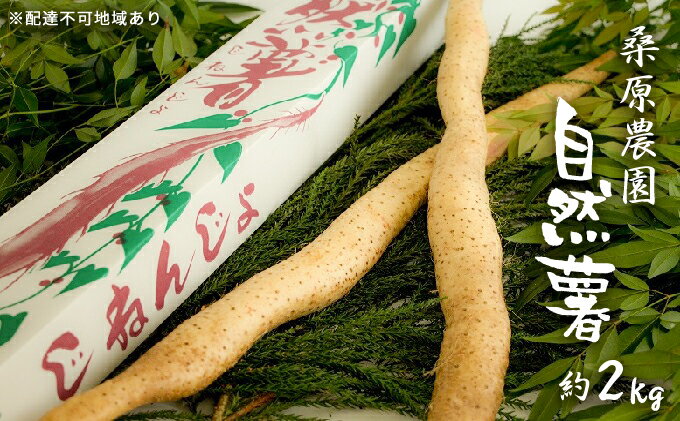 熊本県錦町の画像2