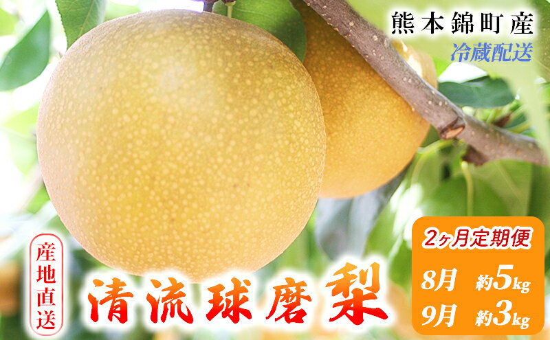 【ふるさと納税】定期便 2回 先行予約 梨 清流錦 豊水 あきづき 新高 かおり 8月 5kg 9月 3kg フルーツ なし ナシ 果物 デザート お楽しみ 2024年発送 配送不可:離島　定期便・ 錦町 　お届け：2024年8月下旬～9月下旬