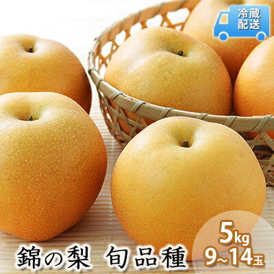 【ふるさと納税】梨 5kg 古里農園 錦の梨 2023年発送 約10玉〜14玉 なし フルーツ 果物 デザート 配送不可：離島 　【 錦町 】　お届け：2023年8月上旬〜10月下旬のサムネイル