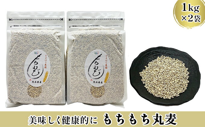 【ふるさと納税】もちもち 丸麦 1kg×2袋 セット　【雑穀・もち麦】